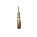 AZY Players Edition Cricket Bat — SH — RH