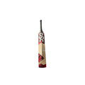 DSC Intense Ferosity Cricket Bat — H — RH
