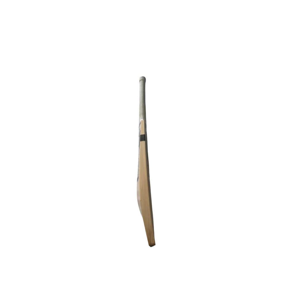 Focus Pure Players Edition Cricket Bat — SH — RH