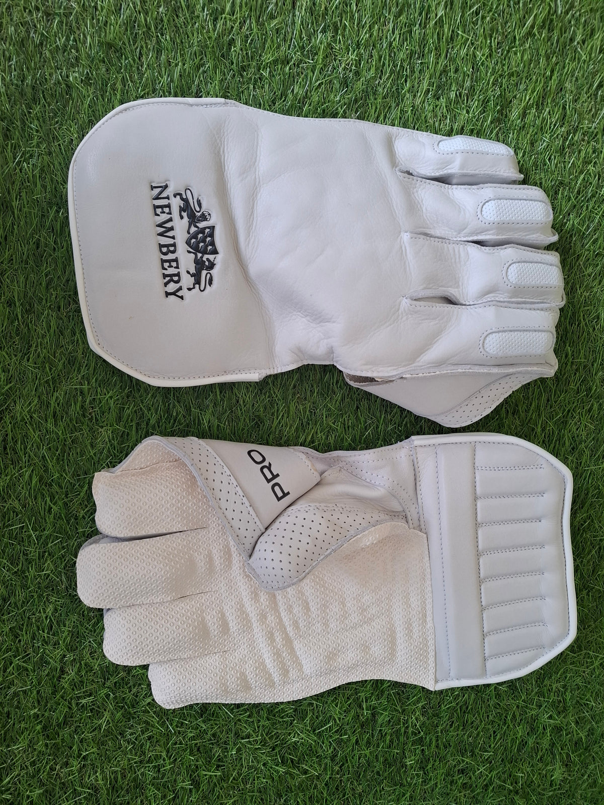 Newberry Pro Wicket Keeping Wicket Keeping Gloves