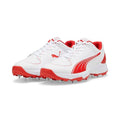 Puma Metal Spikes