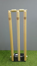 Focus Stumps Ashwood Cricket Stumps